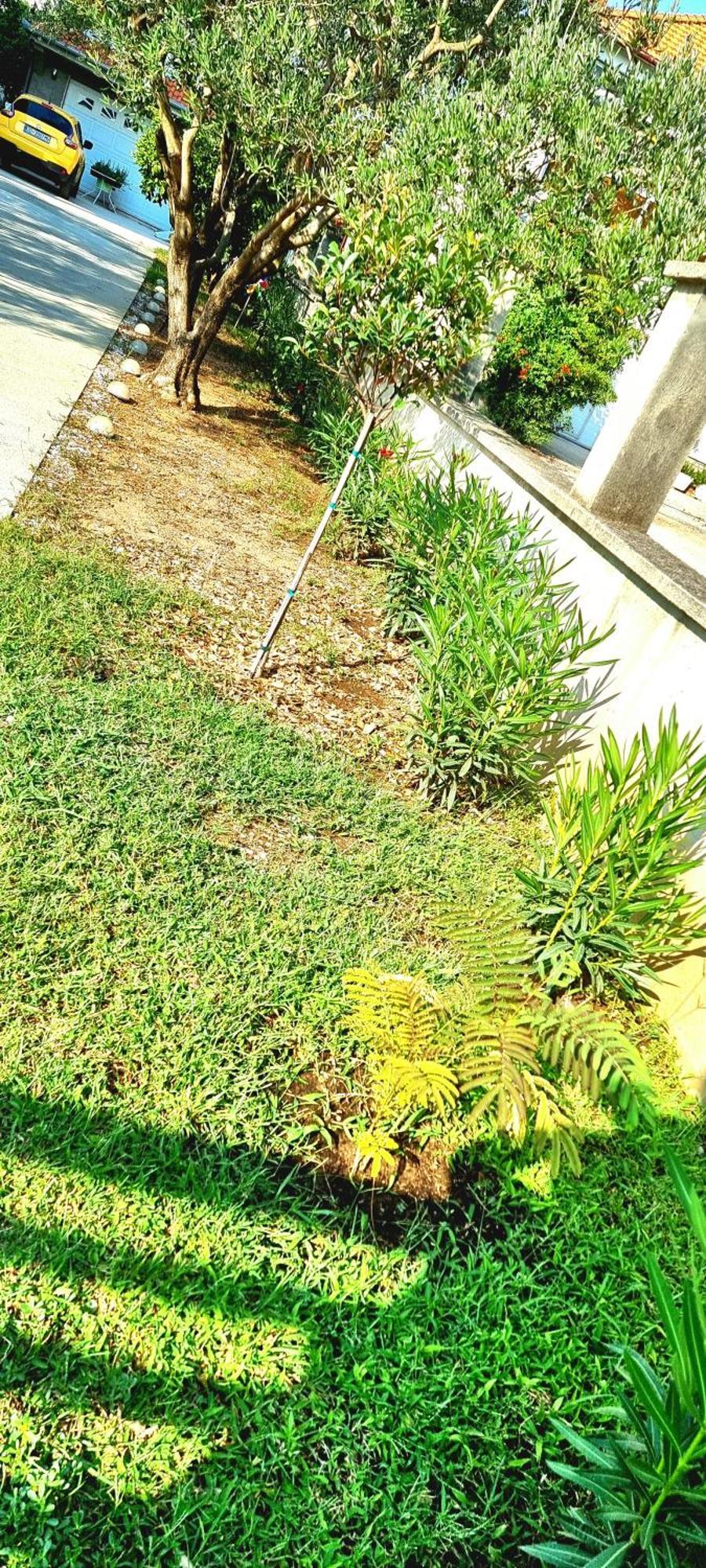 Apartments Las Cabezas Zadar Eksteriør billede